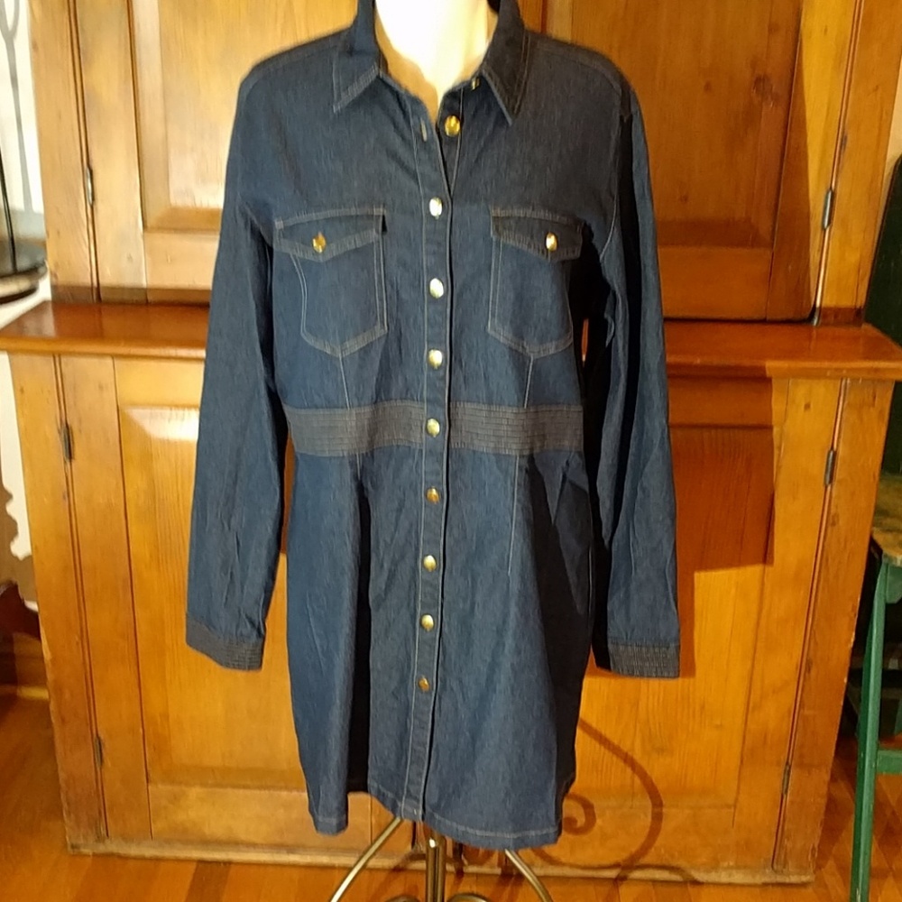 Denim Button-Up Dress - image 1